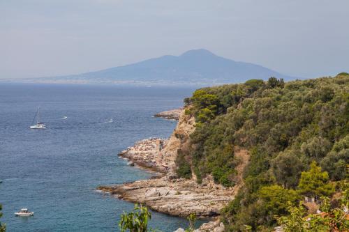 Maison Del Mare Sorrento.