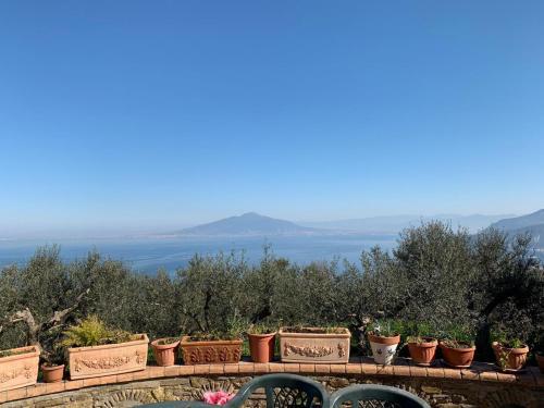 Bed & Breakfast A Sorrento