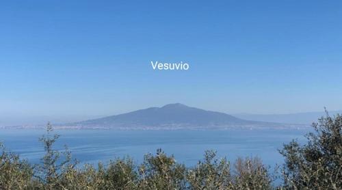 Bed & Breakfast A Sorrento