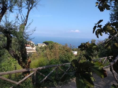 Hotel Anna Belle Elegant Agriresort