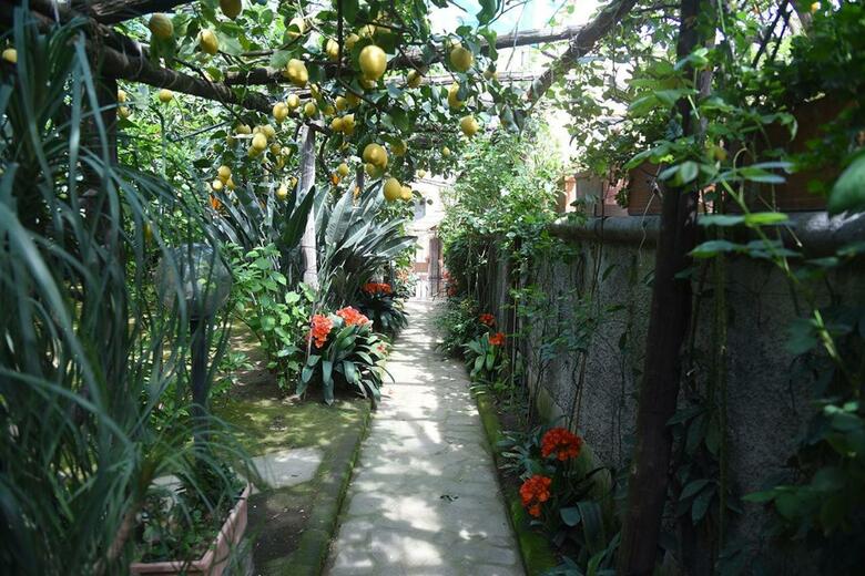 Apartamento Anthea Sorrento