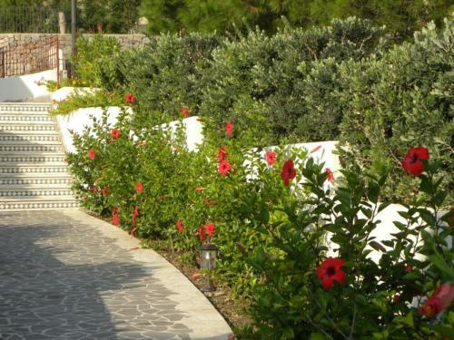 Bed & Breakfast Hotel Borgo Eolie