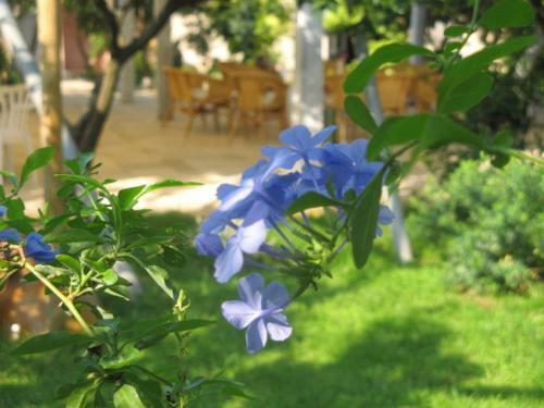 Masseria Asciano