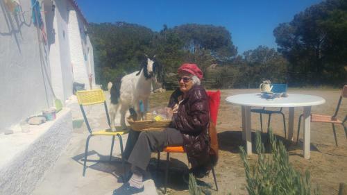 Agroturismo Monti Ruju