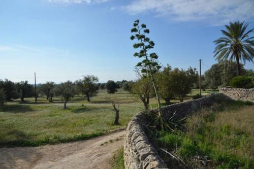 Scicli Villa Sleeps 16 Pool Air Con Wifi