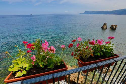Hotel Il Casato Restaurant&rooms