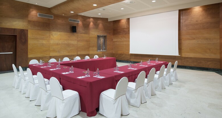 Hotel Palacio de Avil�s, Affiliated By Meli�