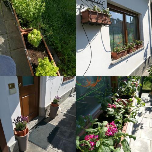 Bed & Breakfast Fiore Di Zucca