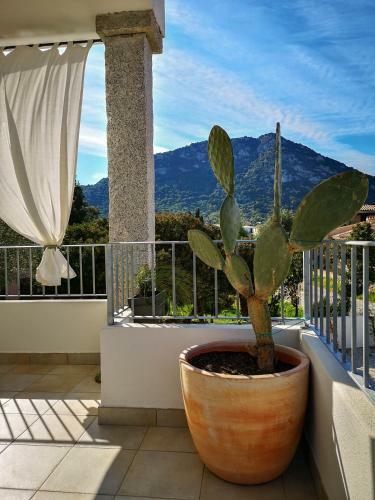 B&B Limone
