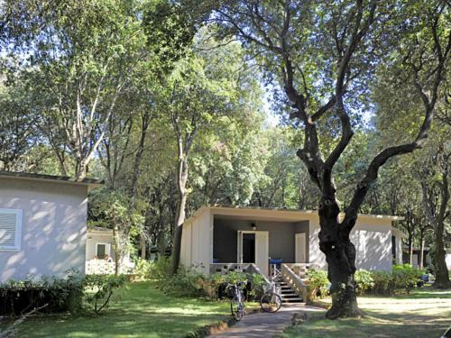Ferienhaus San Vincenzo 202s