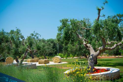 Bed & Breakfast La Vecchia Lamia