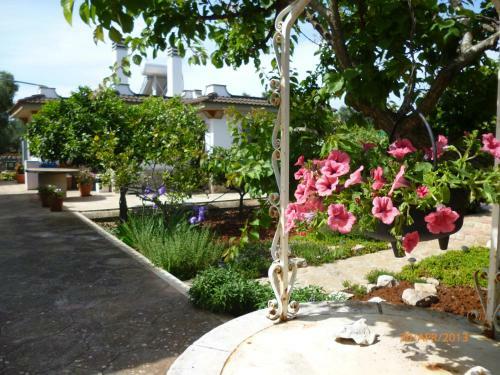 Villa Poggio