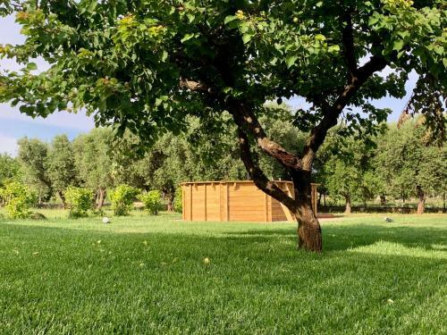 Villa Vacanze Il Giardino
