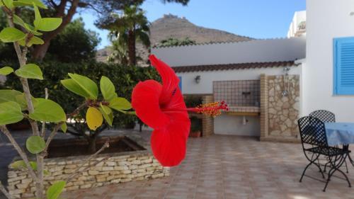 Hotel Blu Vacanze Residence