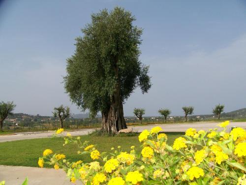 Hotel S'olia