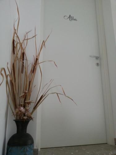 Apartamento Alba
