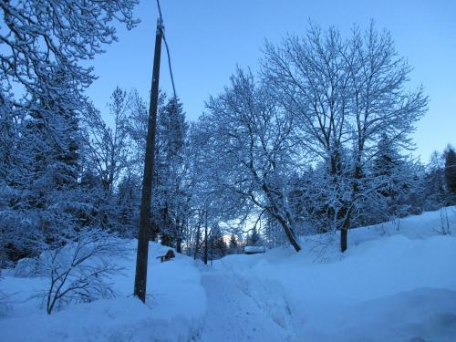 Bed & Breakfast Maso Pin