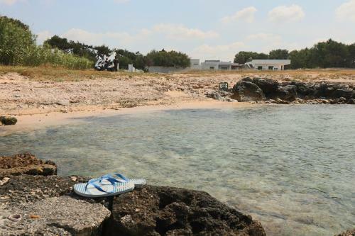 Casa Vacanza Biancospino Fronte Mare