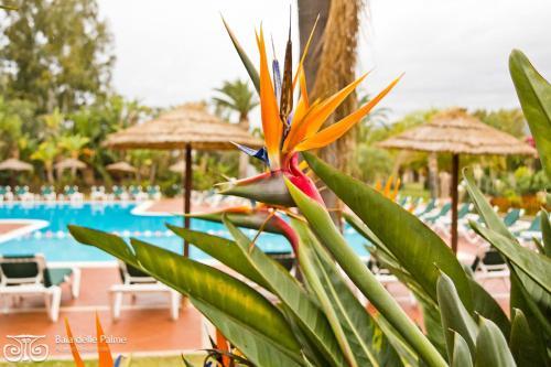 Apartamento Residence Baia Delle Palme