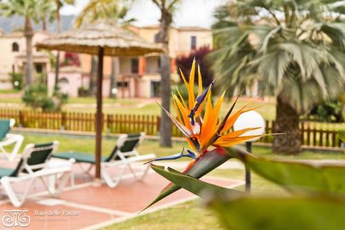 Apartamento Residence Baia Delle Palme