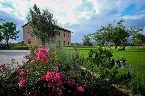 Agroturismo Assisium