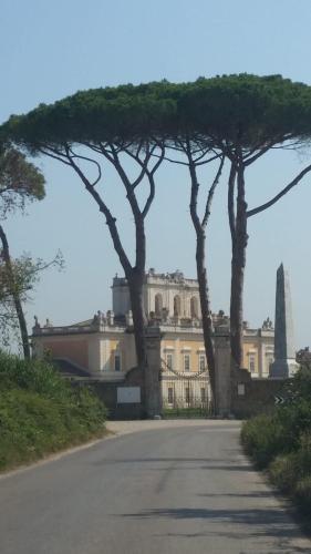 Bed & Breakfast Domus Antica