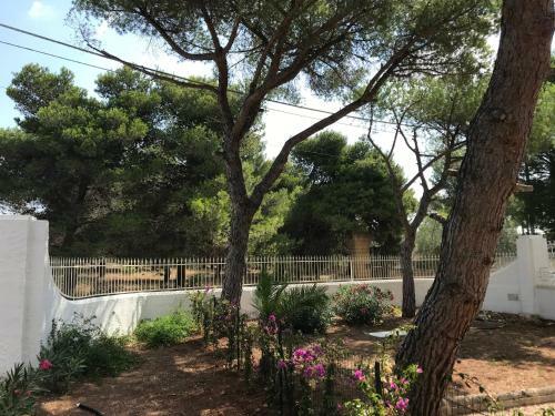 Carlo V - Villas & Apartments