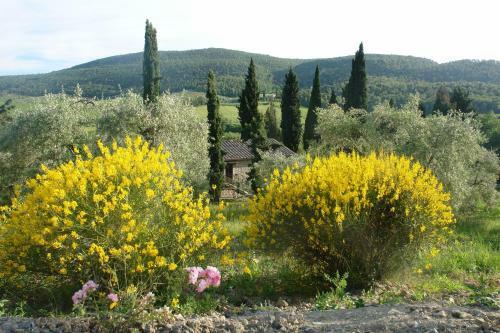 Casa Vacanza Il Glicine