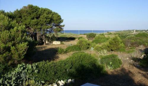 Torre-borraco