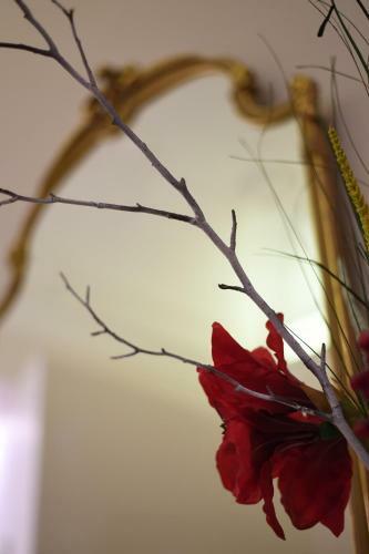 Bed & Breakfast Allegoria Dell'aurora