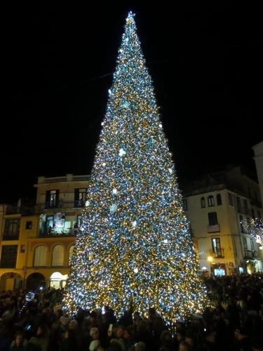 B&B Butterfly-salerno Centro