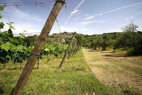 San Donato Villa Sleeps 4 Pool Wifi