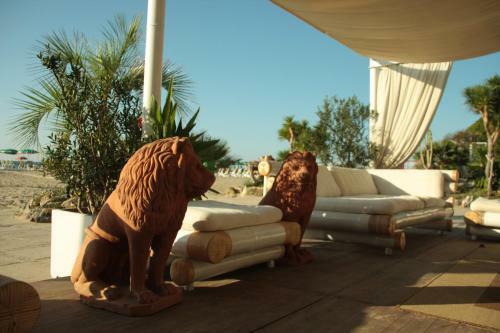 Bed & Breakfast Villa Argentina