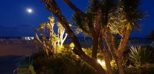 Bed & Breakfast Villa Argentina