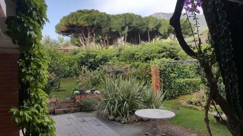 Bed & Breakfast Villa Argentina