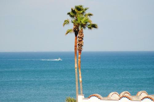 Hotel Mastropeppe