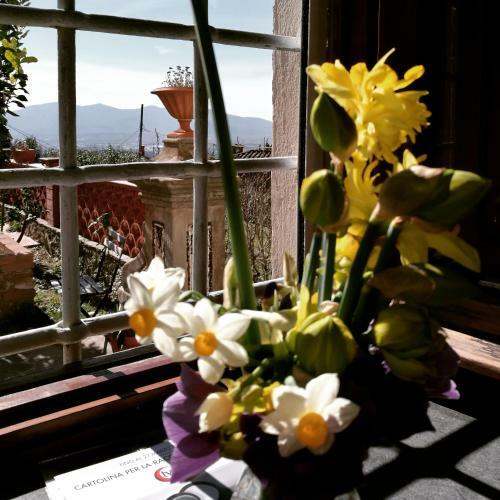 Agroturismo Palazzo Boccella