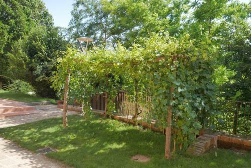 Agroturismo Agriturismo Due Comuni