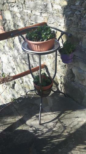 B&B Borgo Valagnesi