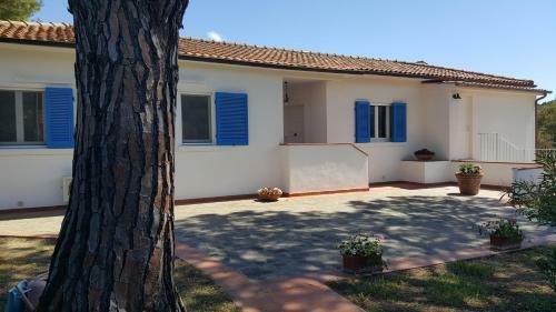 B&B La Casa Degli Ulivi