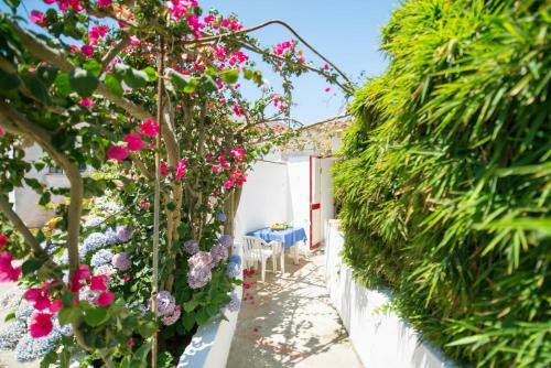 Apartamento La Rosa Dei Venti
