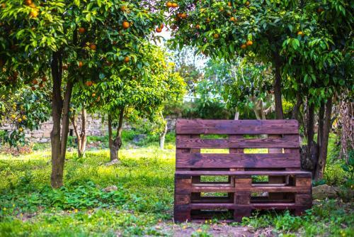 Hostal Il Borghetto Apartments & Rooms
