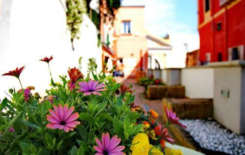 Hostal Il Borghetto Apartments & Rooms