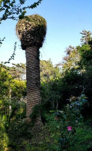 La Finestra Sul Giardino