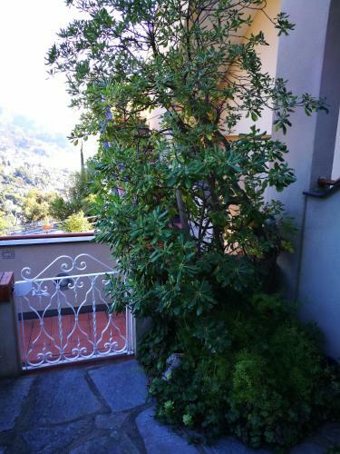 Apartamento La Loggia Di Francesca