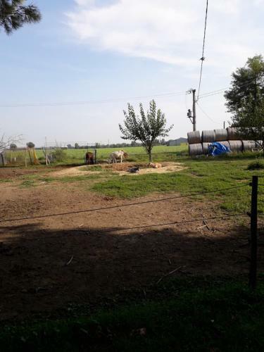 Agroturismo La Ravegnana