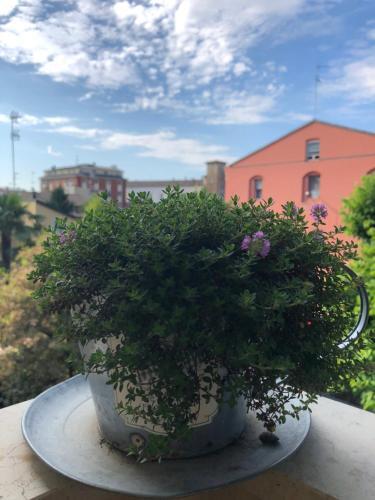 Hostal La Casa Dei Regazz