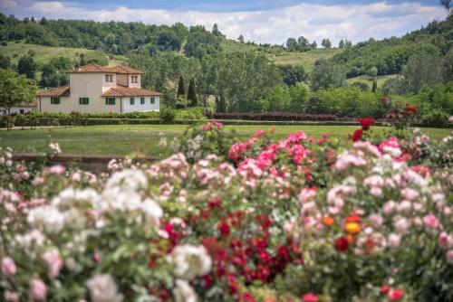 Villa Viesca Toscana Suites&villas