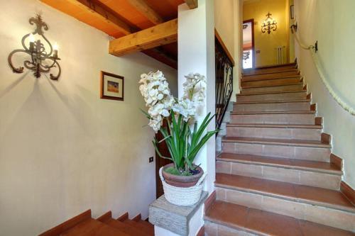 Ostina Villa Sleeps 12 Pool Wifi