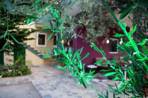 Hotel Ktima Anastasia Apartments